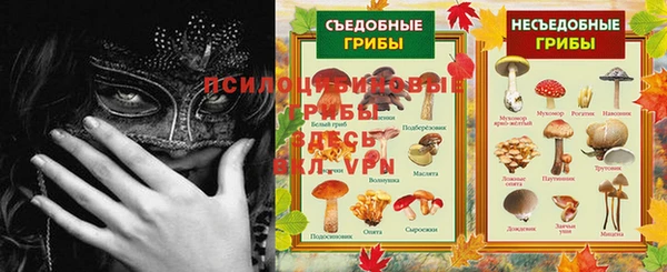 мет Богданович