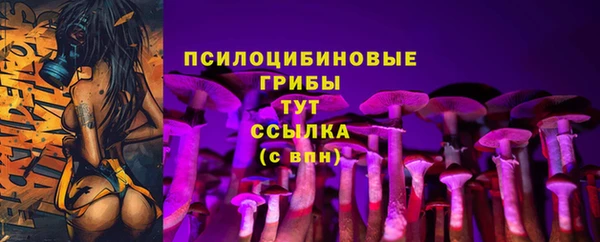трава Богородицк