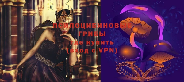 трава Богородицк