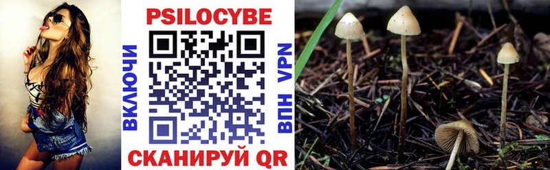 Галлюциногенные грибы Magic Shrooms  Дубна 